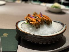 -福玺荟(外滩罗斯福店)