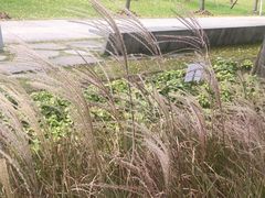 -云锦路(地铁站)