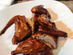 -东鸽皇(奥园·中环广场店)