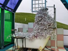 -荷兰花海