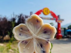 -北京凤凰岭