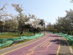 -尚贤河湿地