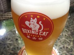 Boxing&nbsp;Cat&nbsp;Brewery(复兴西路店)-Boxing Cat Brewery拳击猫精酿啤酒馆(永福店)
