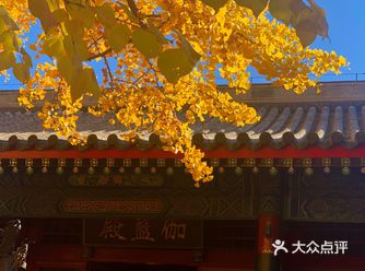 北京的秋天魅力无限，不愧为金秋这个称号