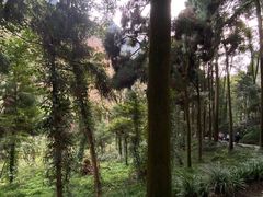 -青城山