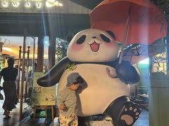 -轩客会(熊猫书店)