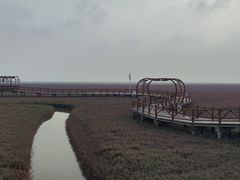 -红海滩国家风景廊道