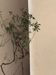 -ARC弧线沙龙