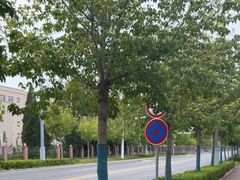 -北戴河东海水浴场