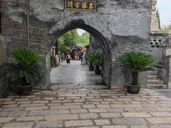 -大槐树寻根祭祖园