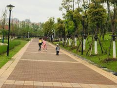 -九龙湖公园