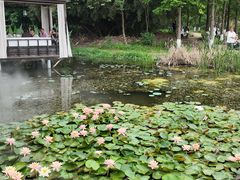 -白鹭湾湿地公园