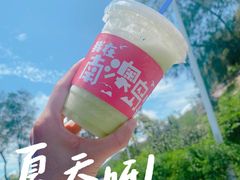 -南澳岛打卡果汁冰公司