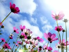 -白沙门生态公园