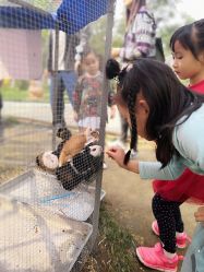 -萌宠亲子动物乐园(槐房万达店)