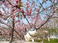 -桃花堤公园