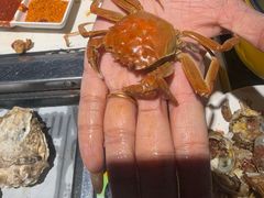 -聚盛源蒸汽海鲜火锅烤肉自助(巨川金海岸购物广场店)