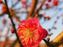 -北京明城墙遗址公园