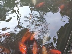 -上海方塔园
