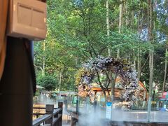 -二荆条·蜀鲜汇城市森林火锅