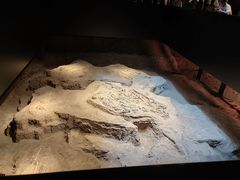 -侵华日军南京大屠杀遇难同胞纪念馆-停车场