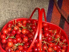 -樱桃山旅游景区