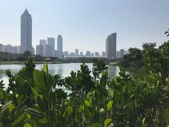 -万绿园