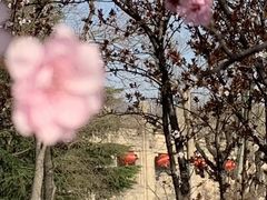 -钟山体育运动公园