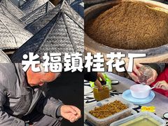 -苏州市吴中区光福窑上花果蜜饯厂
