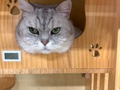 -艺味深尝(云锦路店)