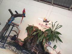 -吉隆坡雀鸟公园