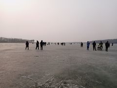 -丁香湖公园