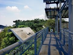 -佛山华盖山公园
