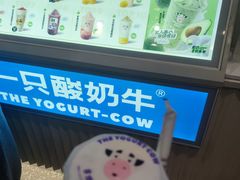 -一只酸奶牛(春熙路店)