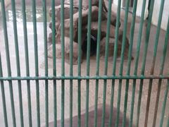 -广东茂名森林公园