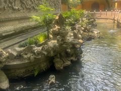 -普陀山风景名胜区-法雨禅寺