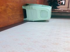 -金必轩(青岩店)