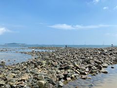 -长江澳风力发电景观区