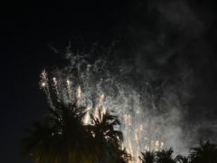 -欢乐海岸椰林沙滩-2025湾区超级灯会
