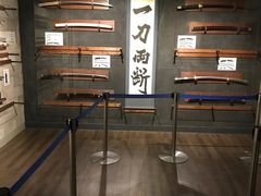 -东京塔海贼王主题公园