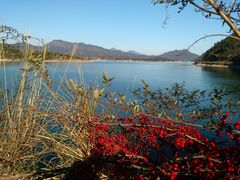-千岛湖龙川湾