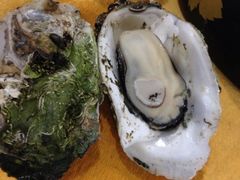 iphone_upload_pic-蚝专家(北滘店)
