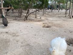 -南大港湿地风景区