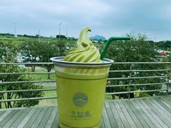 -雪绿茶博物馆