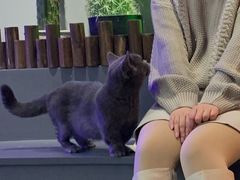 -极木²邸 人与宠物·互动社区
