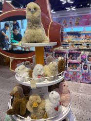 -kidsland(颐堤港店)