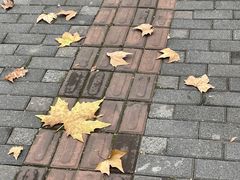-思南书局(复兴中路店)