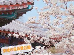 -颐和园