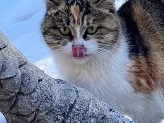 -云峰山自然风景区