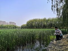 -东坝千亩湖公园